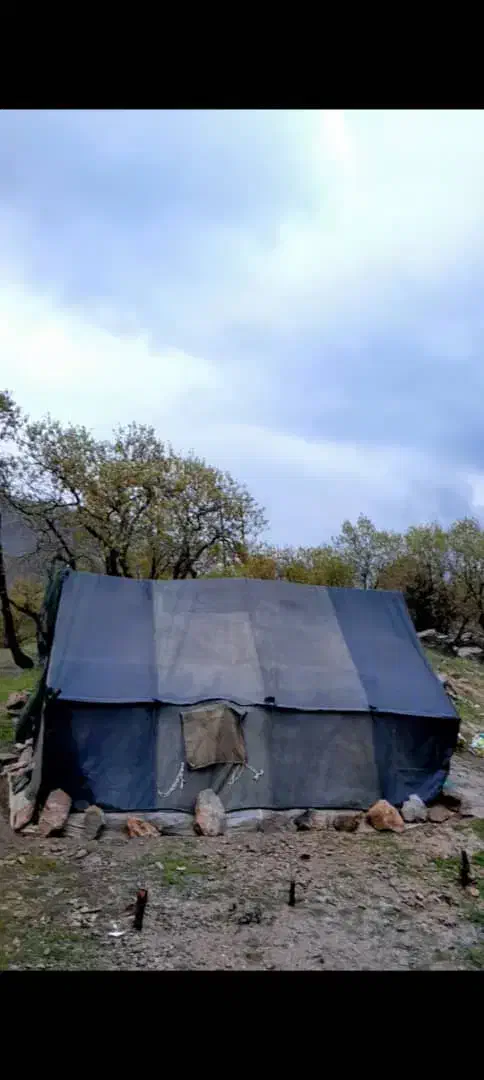 چادر برزنتی ۱۲ متری|کوهنوردی و کمپینگ|دره شهر, |دیوار