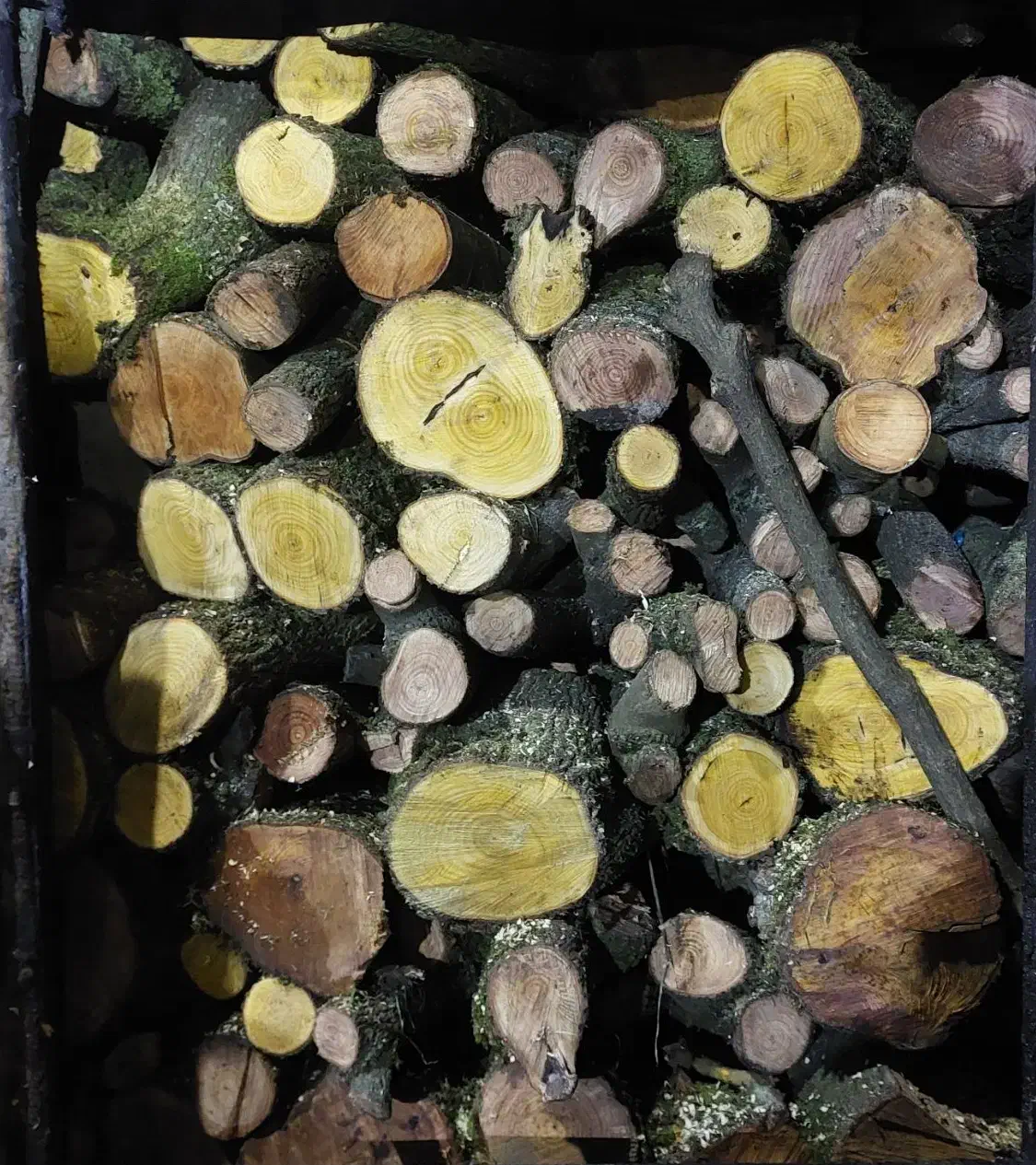 فروش هیزم شومینه و زغال کبابی و مجلسی ممتاز|عمدهفروشی|تنکابن, |دیوار