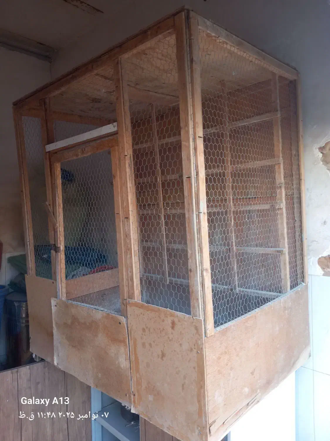 کبوتر|لوازم جانبی حیوانات|نسیمشهر, |دیوار