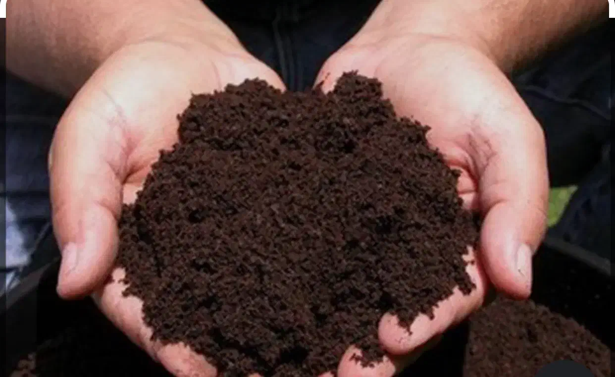 کود ورمی کمپوست|خدمات باغبانی و درختکاری|بابل, |دیوار