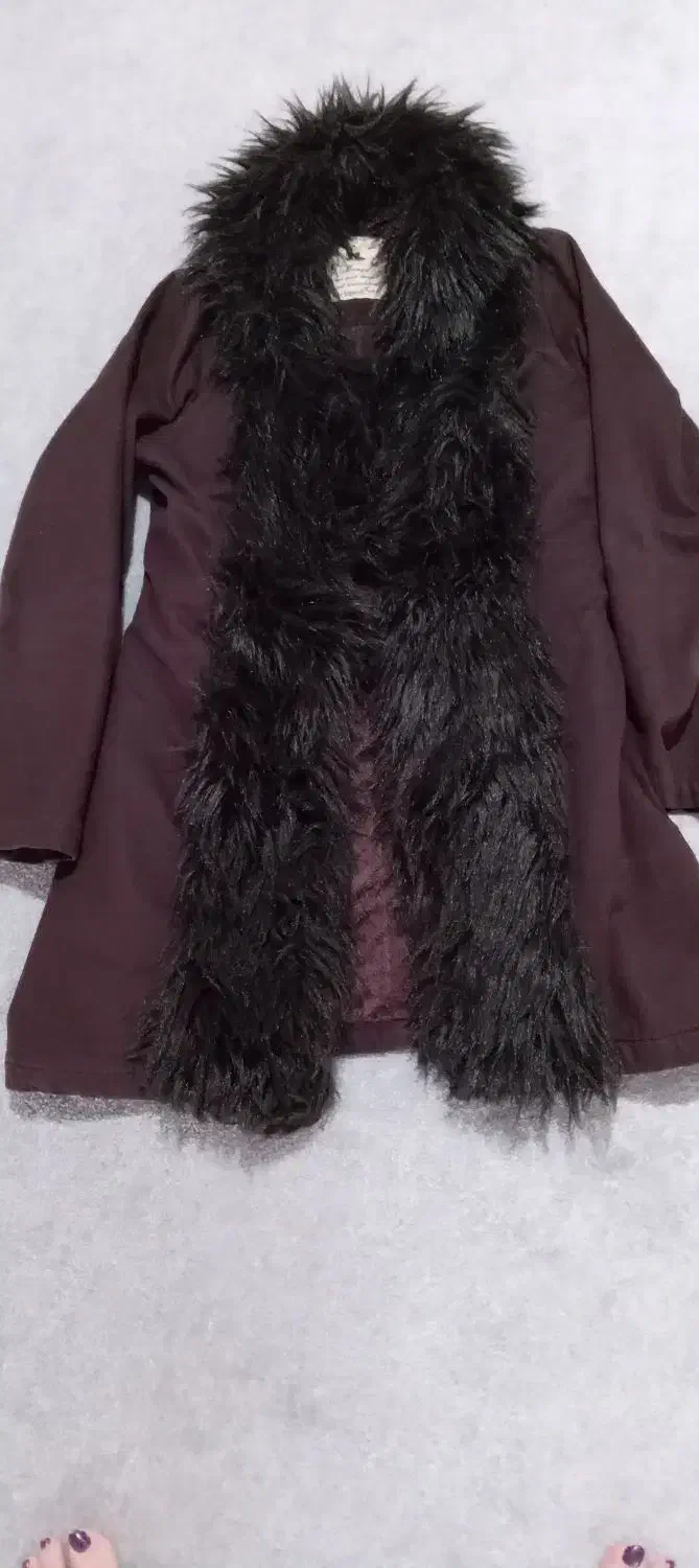 پالتو|لباس|درگزین, |دیوار