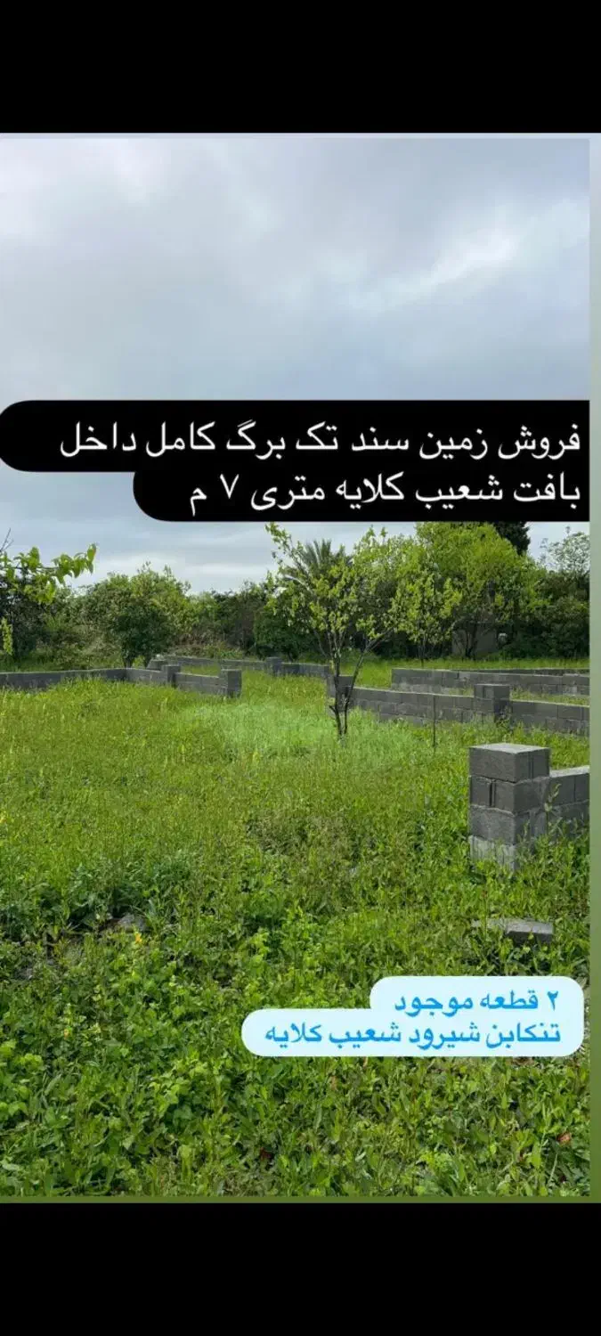 فروش زمین|فروش زمین و ملک کلنگی|خرمآباد (تنکابن), |دیوار