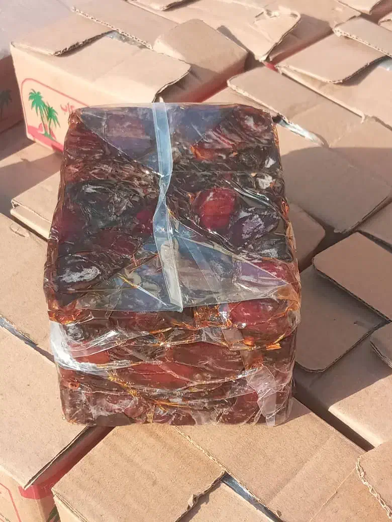 خرمایکبکابتازهکیلو۱۱۰|حراج|سنندج, |دیوار