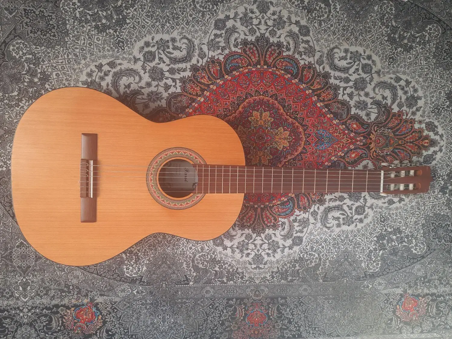 گیتار|گیتار، بیس، امپلیفایر|شیراز, انجیر|دیوار