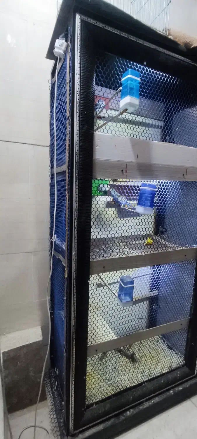 قفس پرنده چهار طبقه|لوازم جانبی حیوانات|مرودشت, کوشک|دیوار