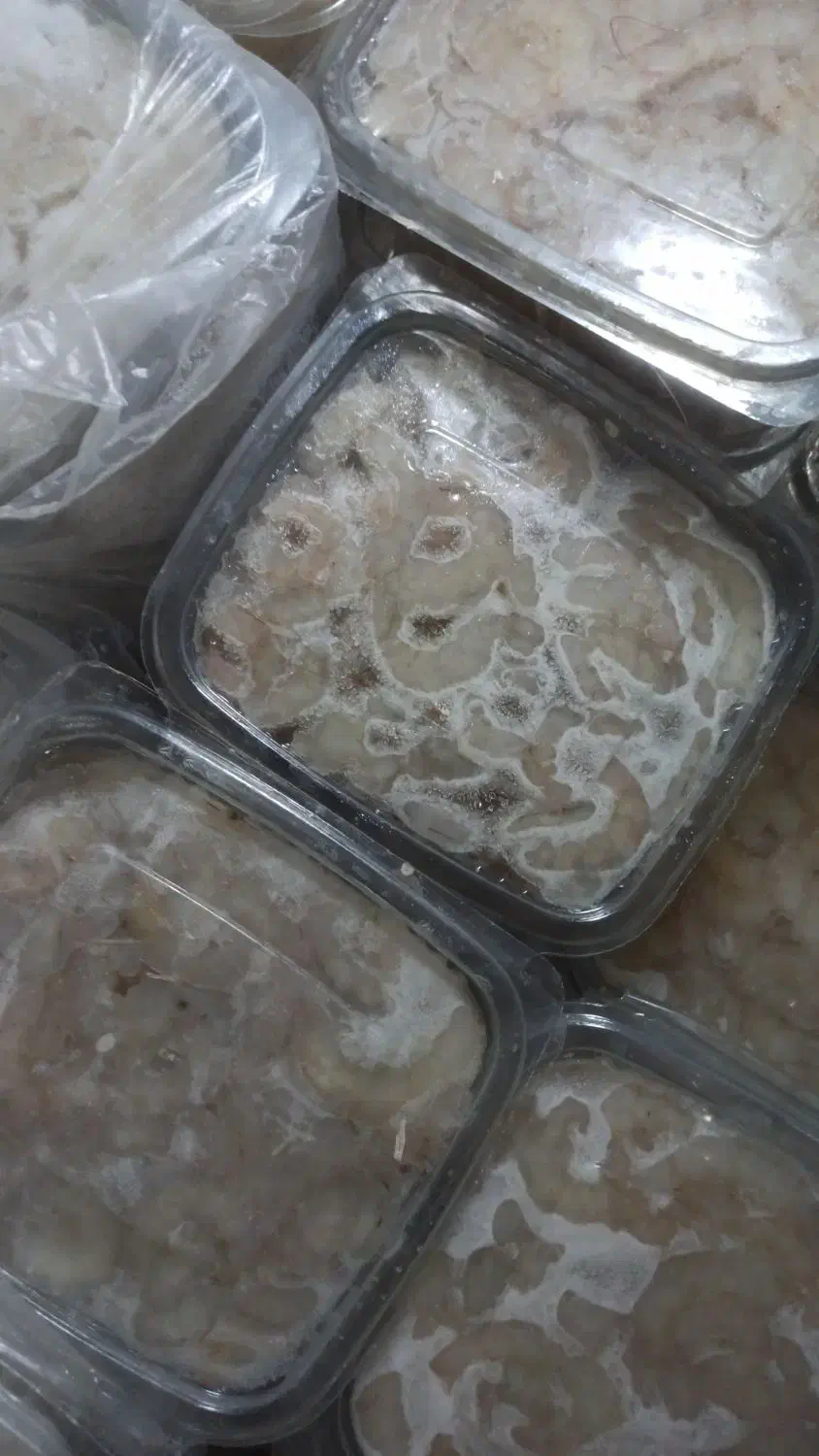 میگو سرتیز پاک شده 500گرمی|ماهی|قشم, |دیوار