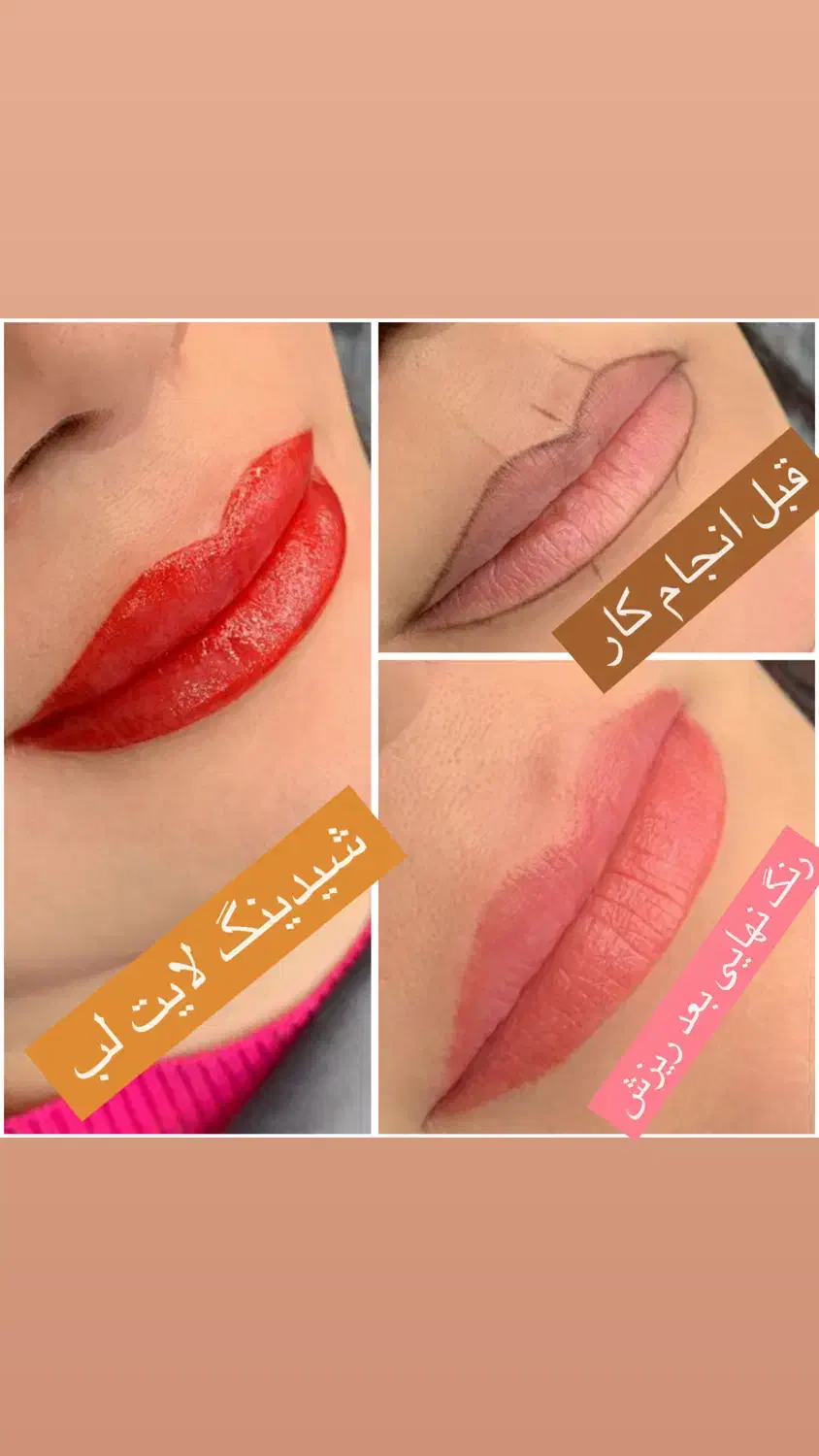 تتو بدن میکرو فیبروز شیدلب بنمژه ریمو ناخن اموزش|خدمات آرایشگری و زیبایی|چالوس, |دیوار