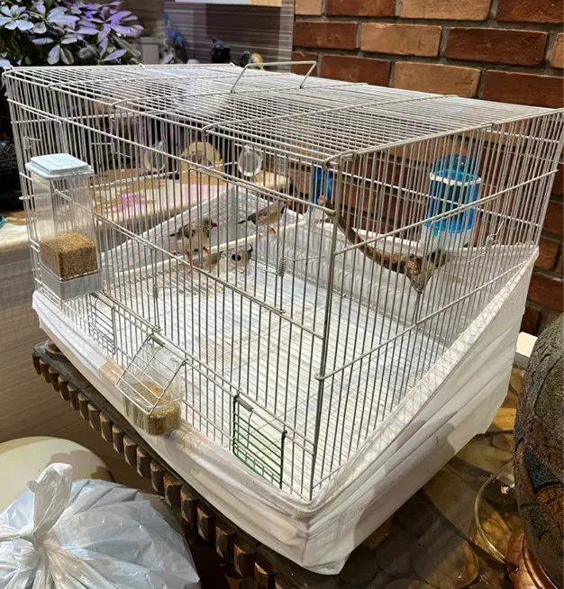 قفس بزرگ خارجی|لوازم جانبی حیوانات|تهران, کاج|دیوار
