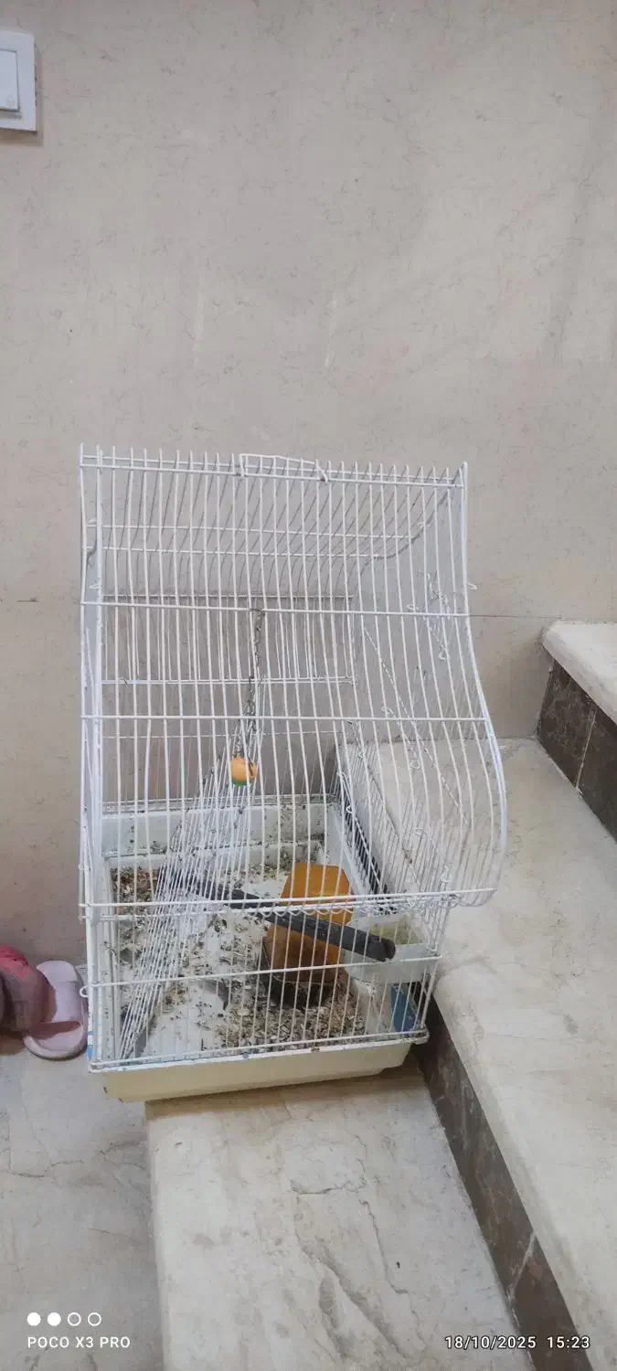 قفس کلبه ای مخصوص طوطی|لوازم جانبی حیوانات|بروجرد, |دیوار