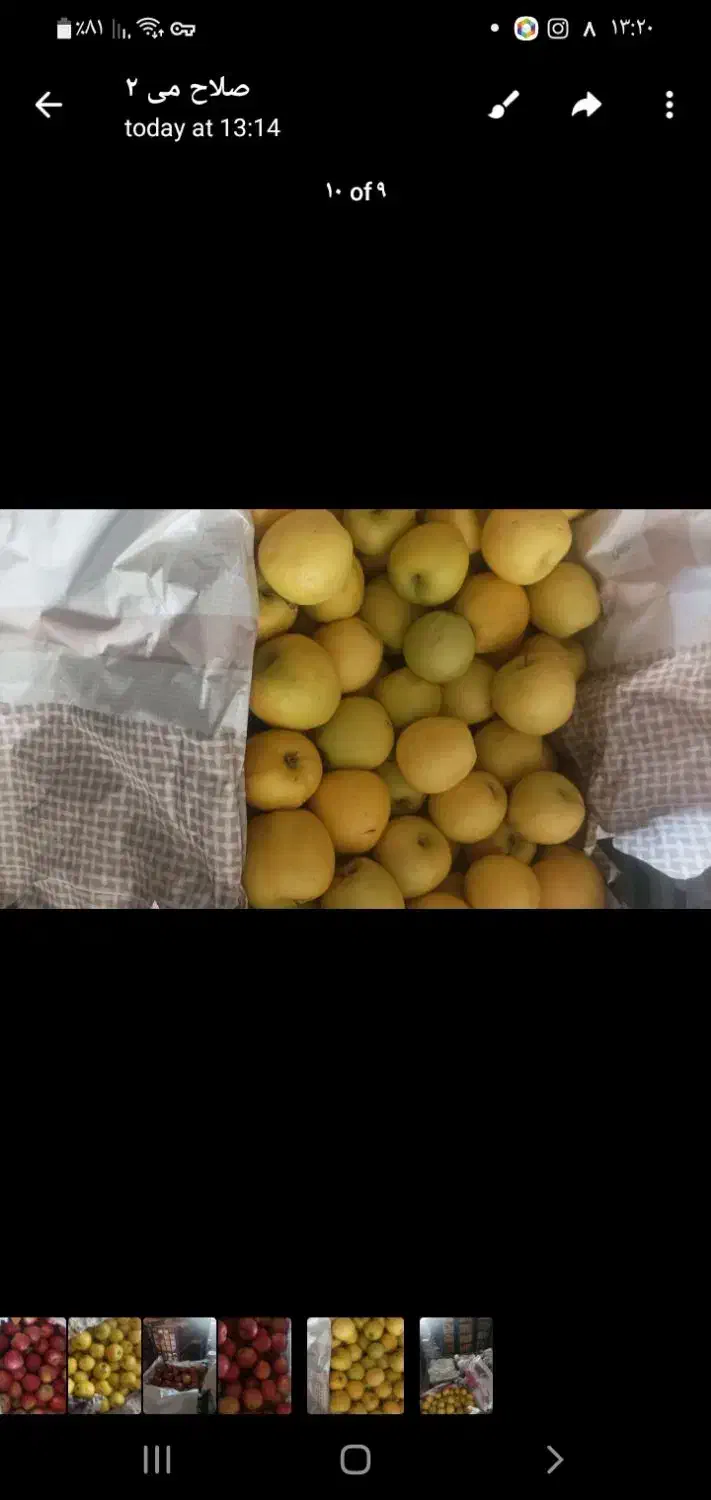 سیب درختی|خوردنی و آشامیدنی|دهگلان, |دیوار