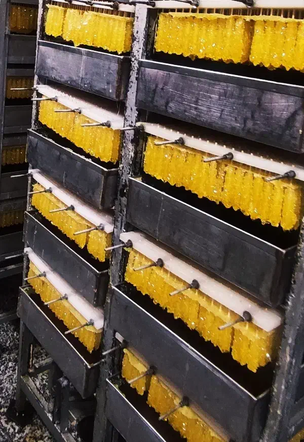 نبات چوبی|خوردنی و آشامیدنی|اصفهان, سرتاوه|دیوار