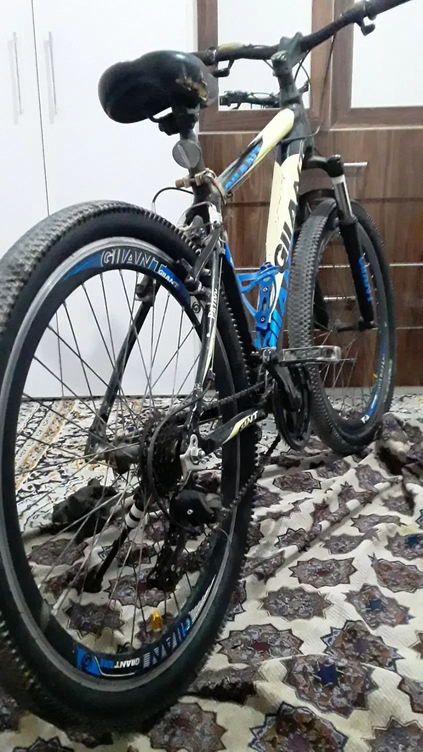 دوچرخه جاینت|دوچرخه، اسکیت، اسکوتر|تربت جام, میان جام|دیوار