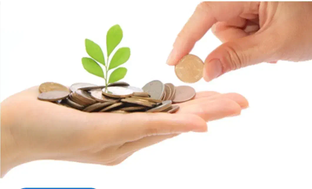 نیازمند سرمایه|خدمات مالی، حسابداری، بیمه|قم, انسجام|دیوار
