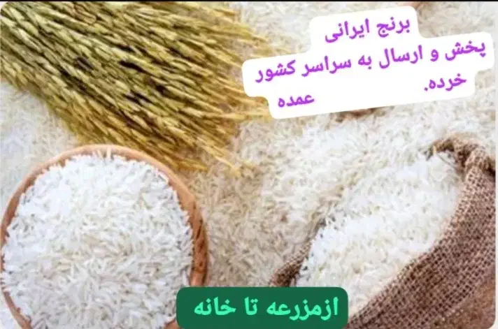 برنج شالیزارهای گیلان|خوردنی و آشامیدنی|کرج, پیشاهنگی|دیوار