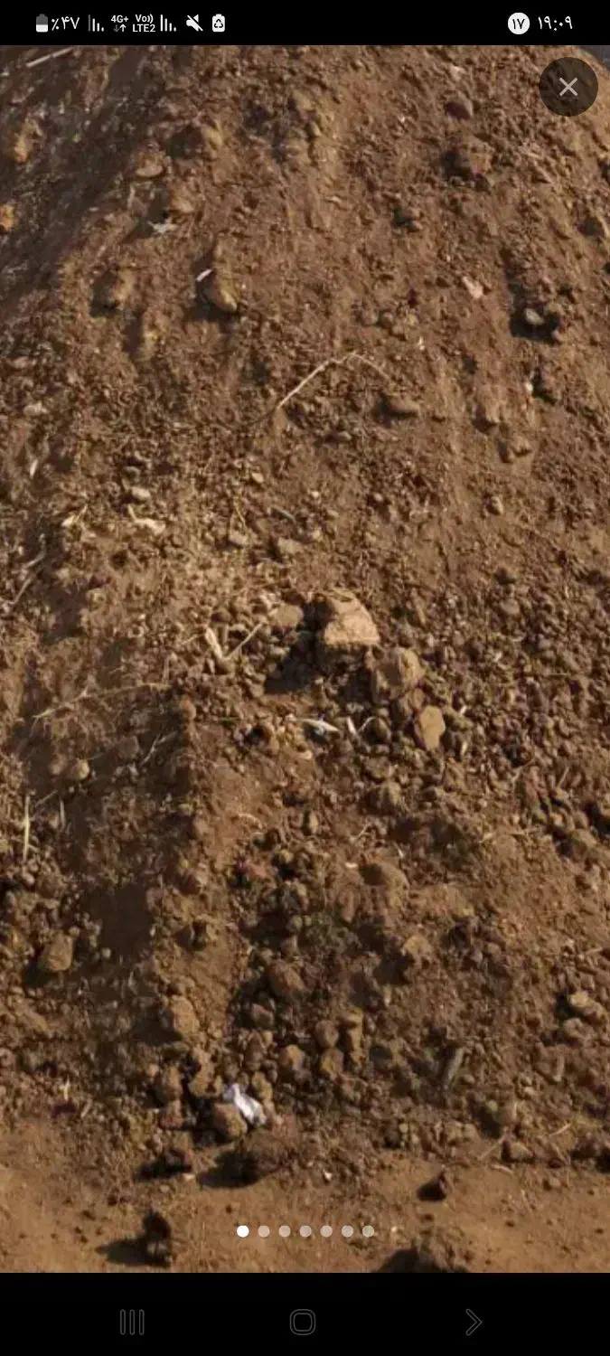 باغبانی|عمده‌فروشی|لردگان, |دیوار