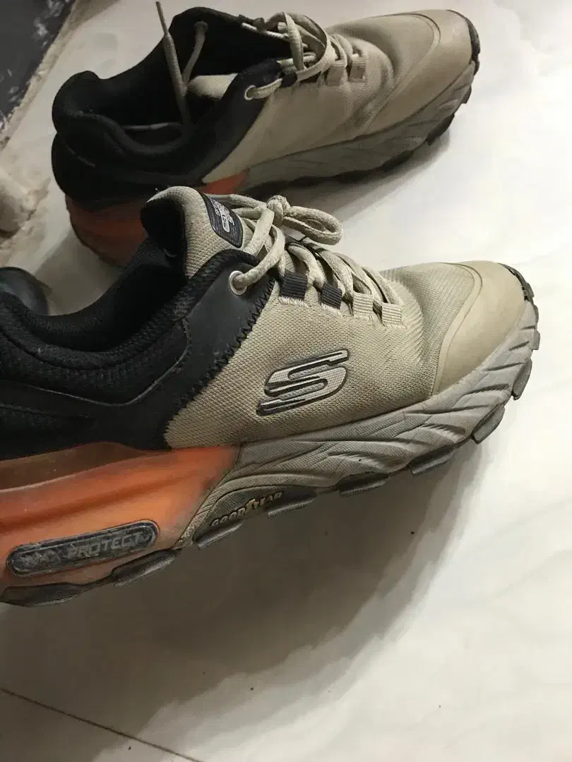 کتونی اسکیچرز|کیف، کفش، کمربند|ماسال, |دیوار