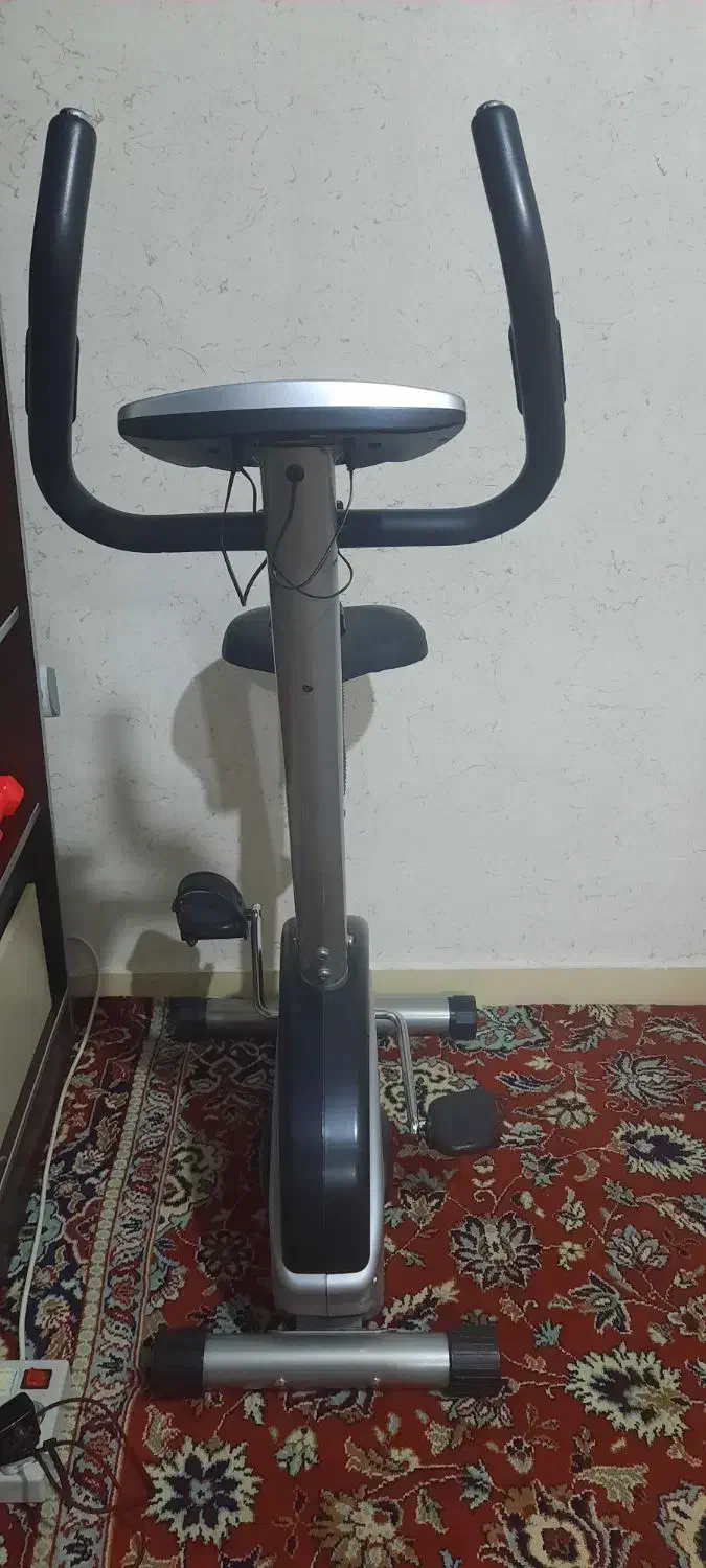 دوچرخه ثابت بادی اسکالپچر|تجهیزات ورزشی|پردیس, فاز ۲|دیوار