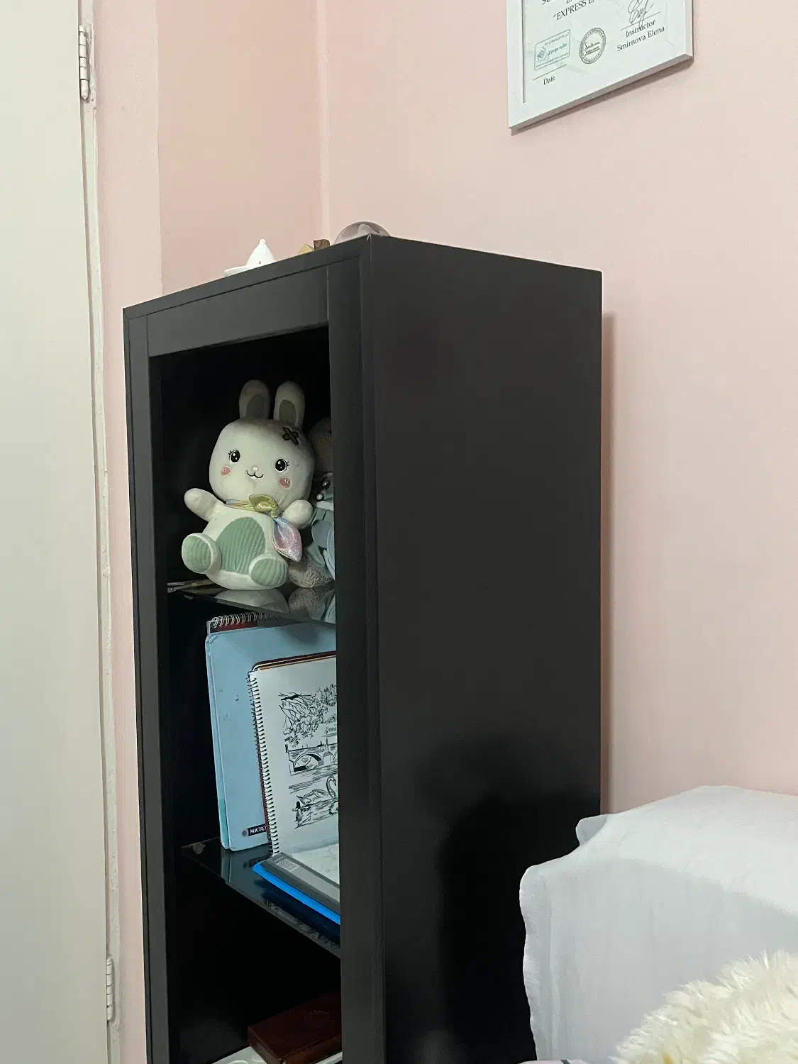 کتابخوانه|کتابخانه، شلف، قفسه‌های دیواری|گرگان, |دیوار