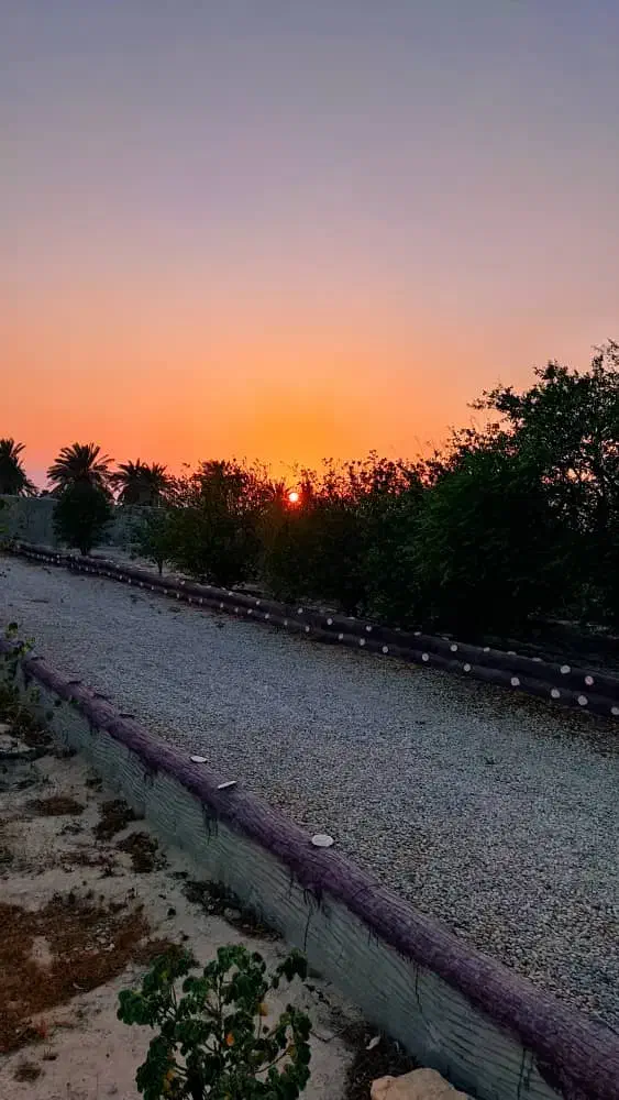 دودهنه‌ مغازه جاده سیدرضا|فروش مغازه و غرفه|بندر گناوه, |دیوار