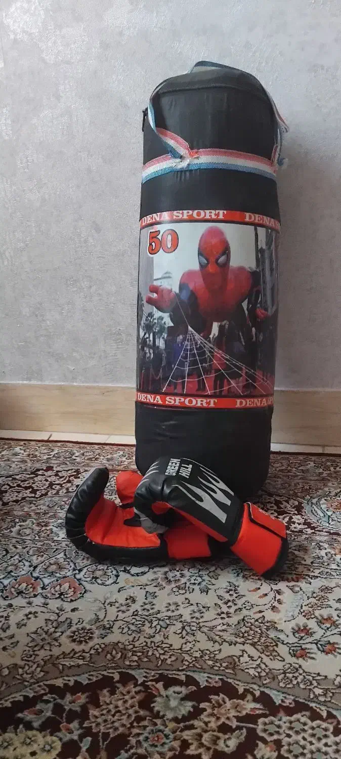 اسکوتر.کیسه و دستکش بکس.کیف  مدرسه.اسکیت برد|اسباببازی|اندیشه, شهرک مریم|دیوار