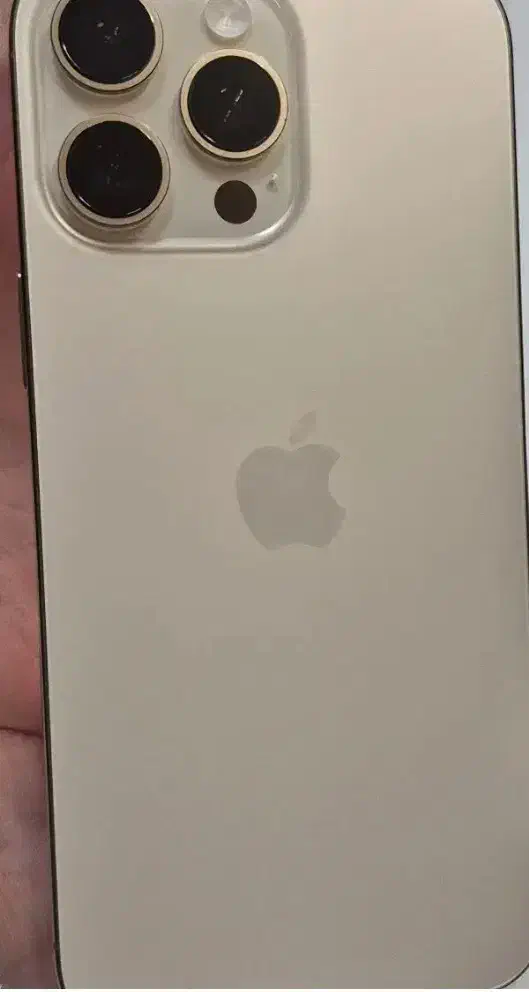 ۱۶ پرومکس ریجستر شده|موبایل|کرج, فاز ۱ مهرشهر|دیوار