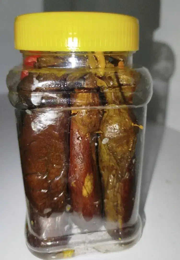 ترشی خانگی،خرما مرداسنگ|خوردنی و آشامیدنی|قم, کلهری|دیوار