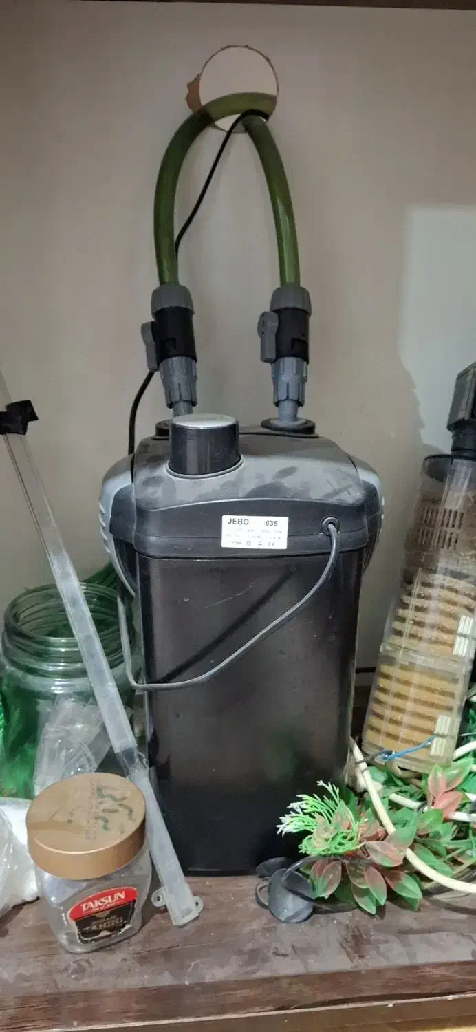 آکواریوم|ماهی|کوهدشت, |دیوار