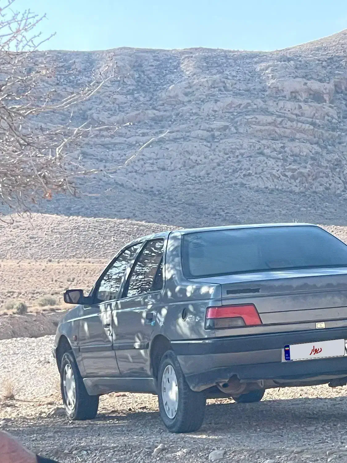 ۴۰۵ دوگانه فابریک|خودرو سواری و وانت|داراب, |دیوار