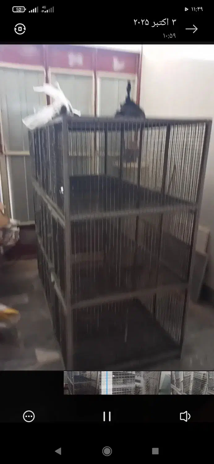 قفس مرغ و کبوتر|لوازم جانبی حیوانات|لاران, |دیوار