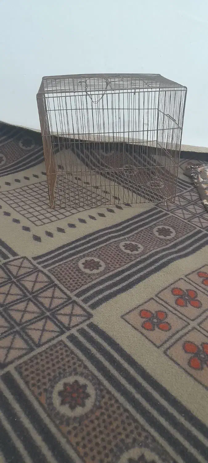 قفس|لوازم جانبی حیوانات|خوی, |دیوار