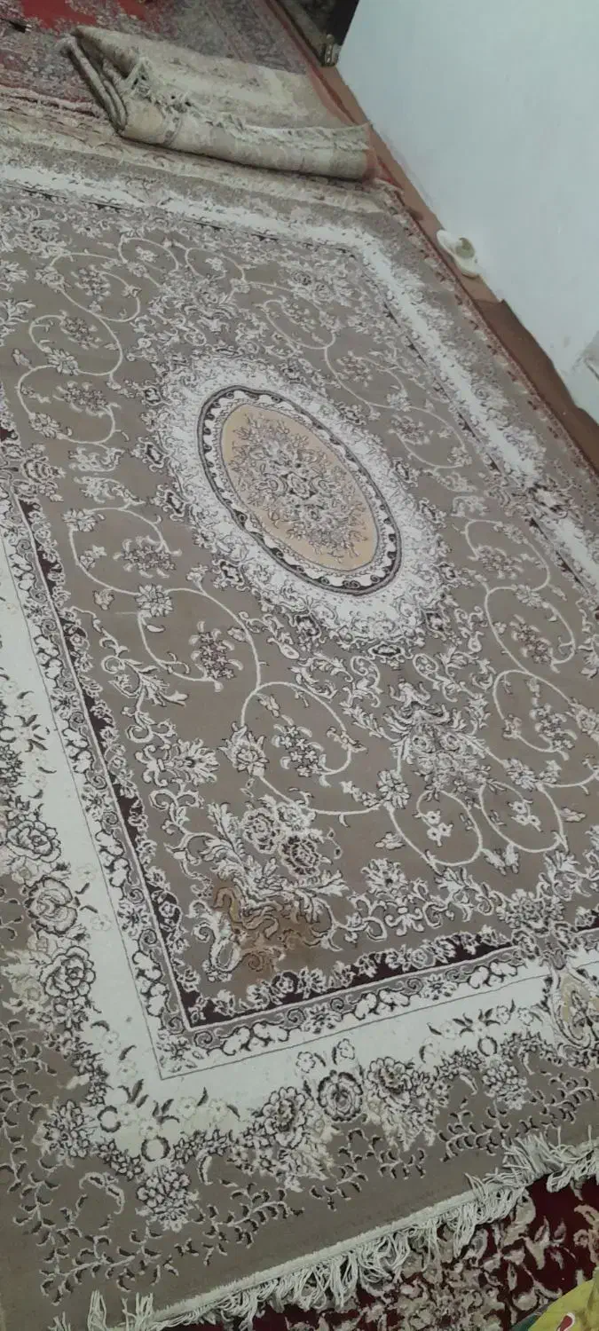 یک جفت فرش ۶ متری گردویی ۵۰۰ شانه مشهد|فرش|مشهد, وحید|دیوار