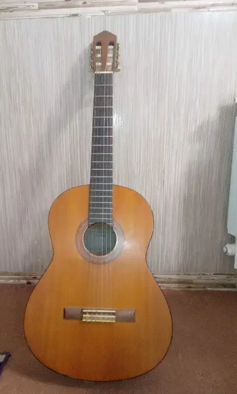 ویولن. ویالون. گیتار|ویولن|تبریز, |دیوار