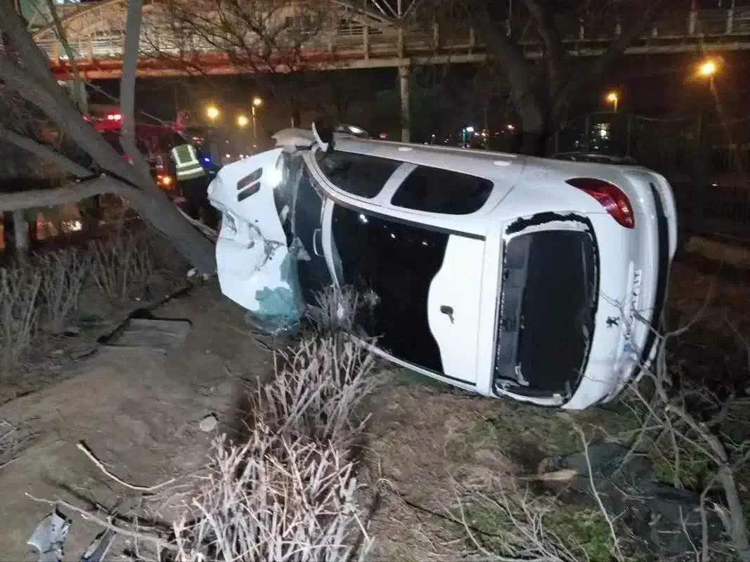 یک پژو تصادفی|خودرو سواری و وانت|تهران, فردوسی|دیوار