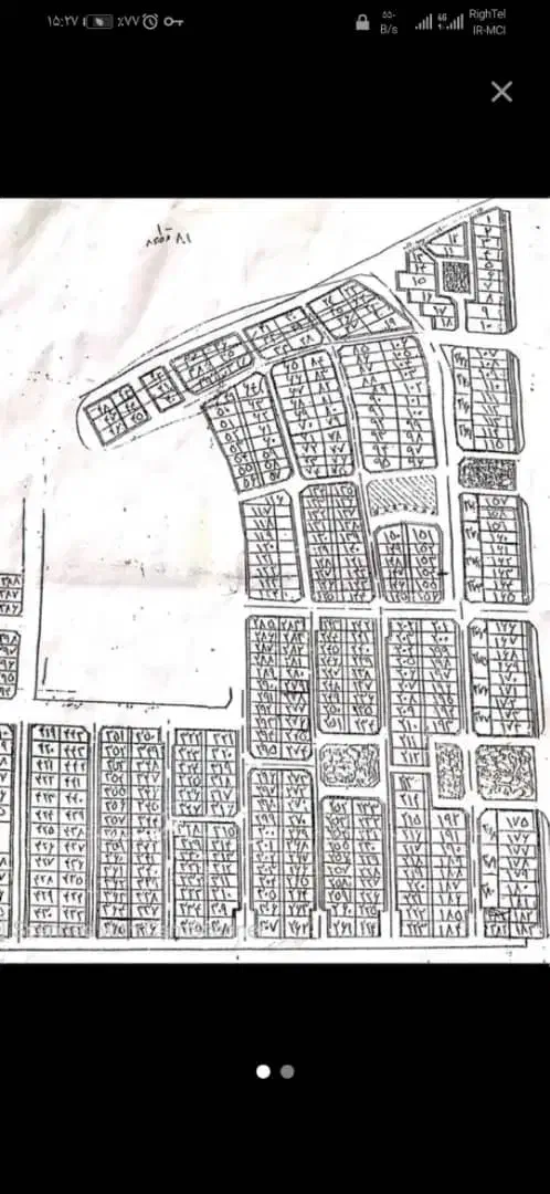 یه سگ شیتزو پیدا شده|سگ|بندر ماهشهر, |دیوار