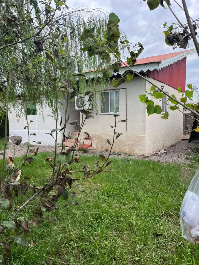 خونه شالیزار6700متری محدوده رشت شرایطی(آناملک)|فروش خانه و ویلا|رشت, حومه رشت|دیوار