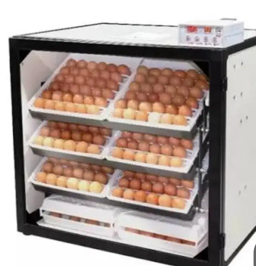 دستگاه جوجه کشی اسکندری|لوازم جانبی حیوانات|قم, میدان نو|دیوار