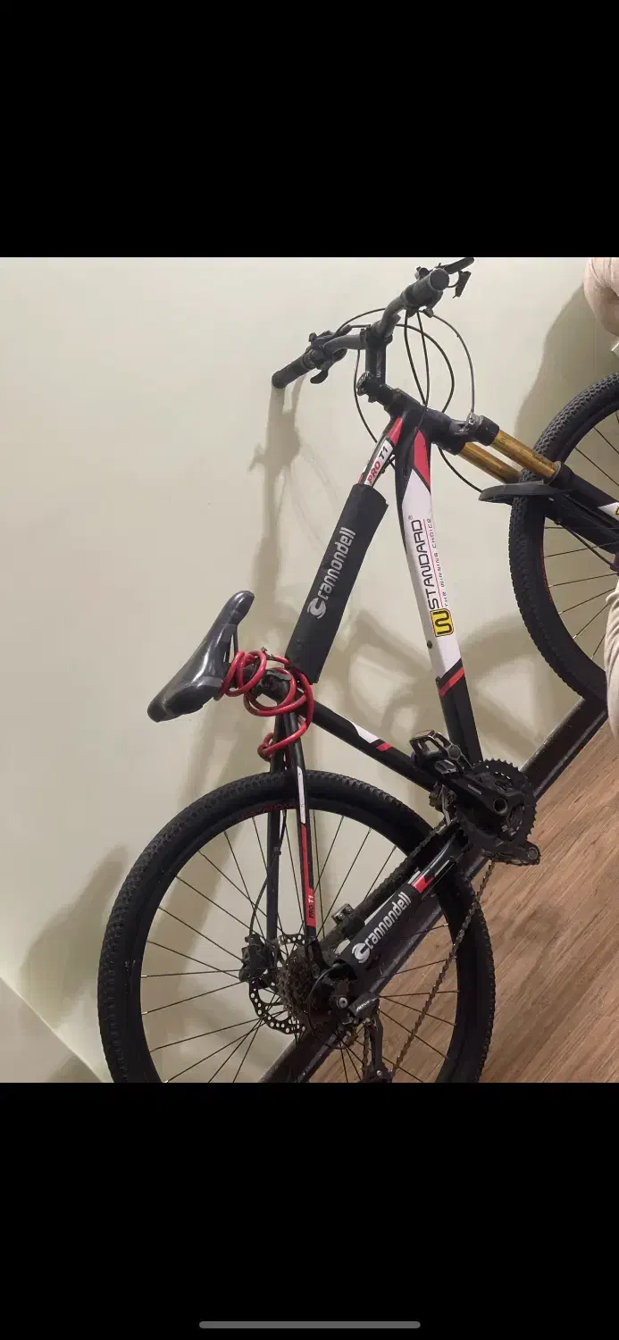 دوچرخه wstandard با قیمت باورنکردنی|دوچرخه، اسکیت، اسکوتر|سبزوار, کوی بهار|دیوار