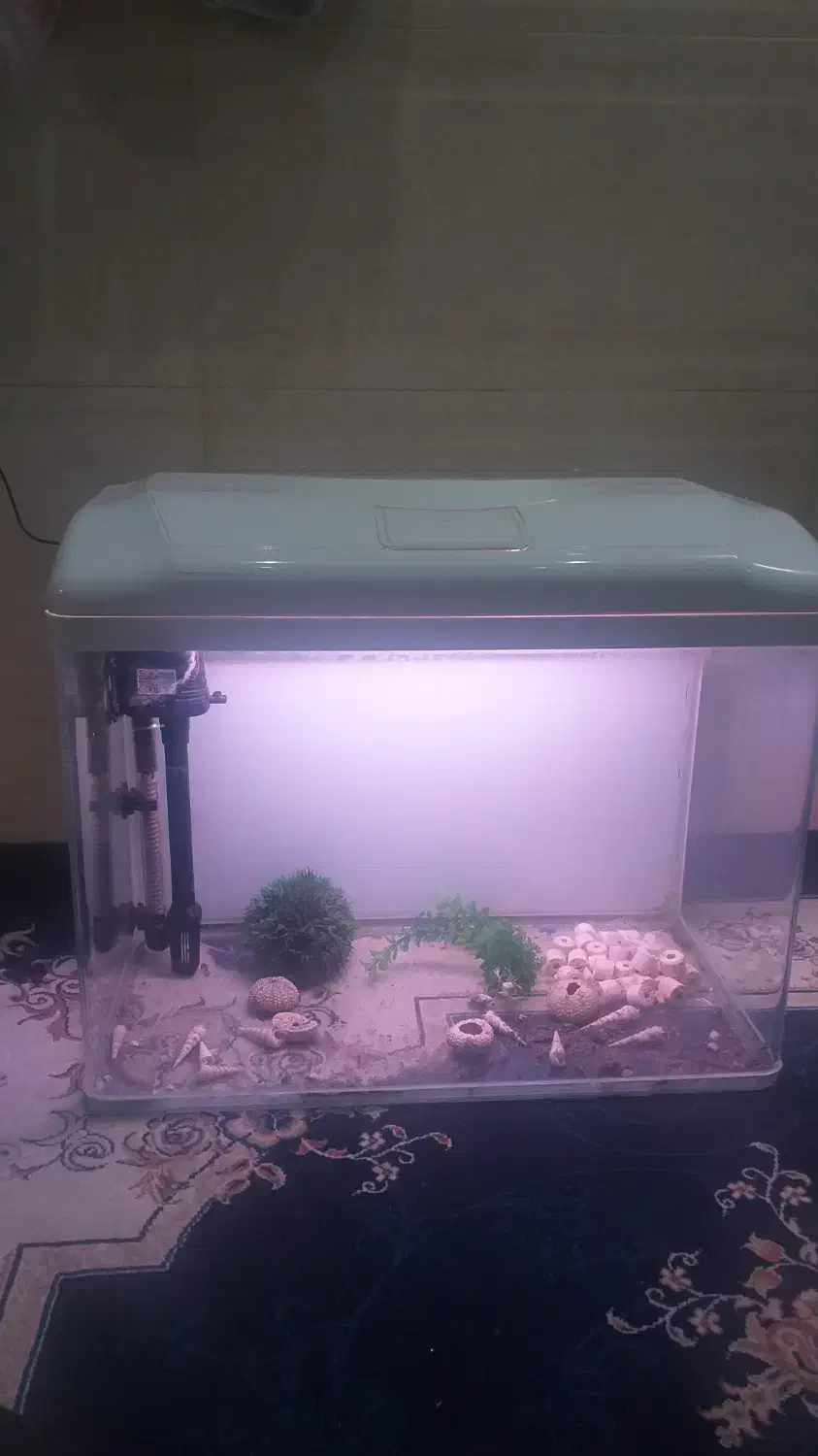 آکواریوم|ماهی|قم, بنیاد|دیوار