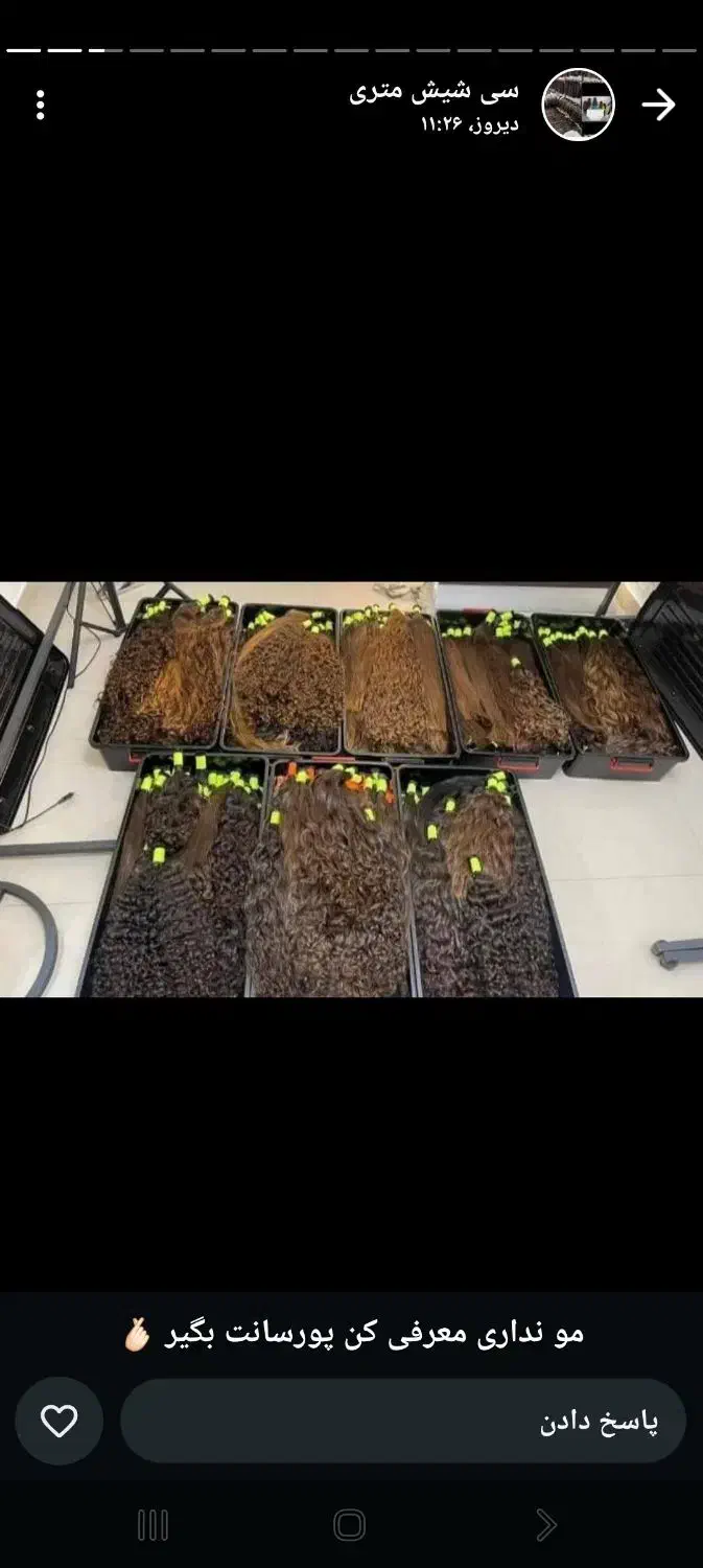 مو شما خریدار هستم..خریدارم..|خدمات آرایشگری و زیبایی|ایذه, |دیوار