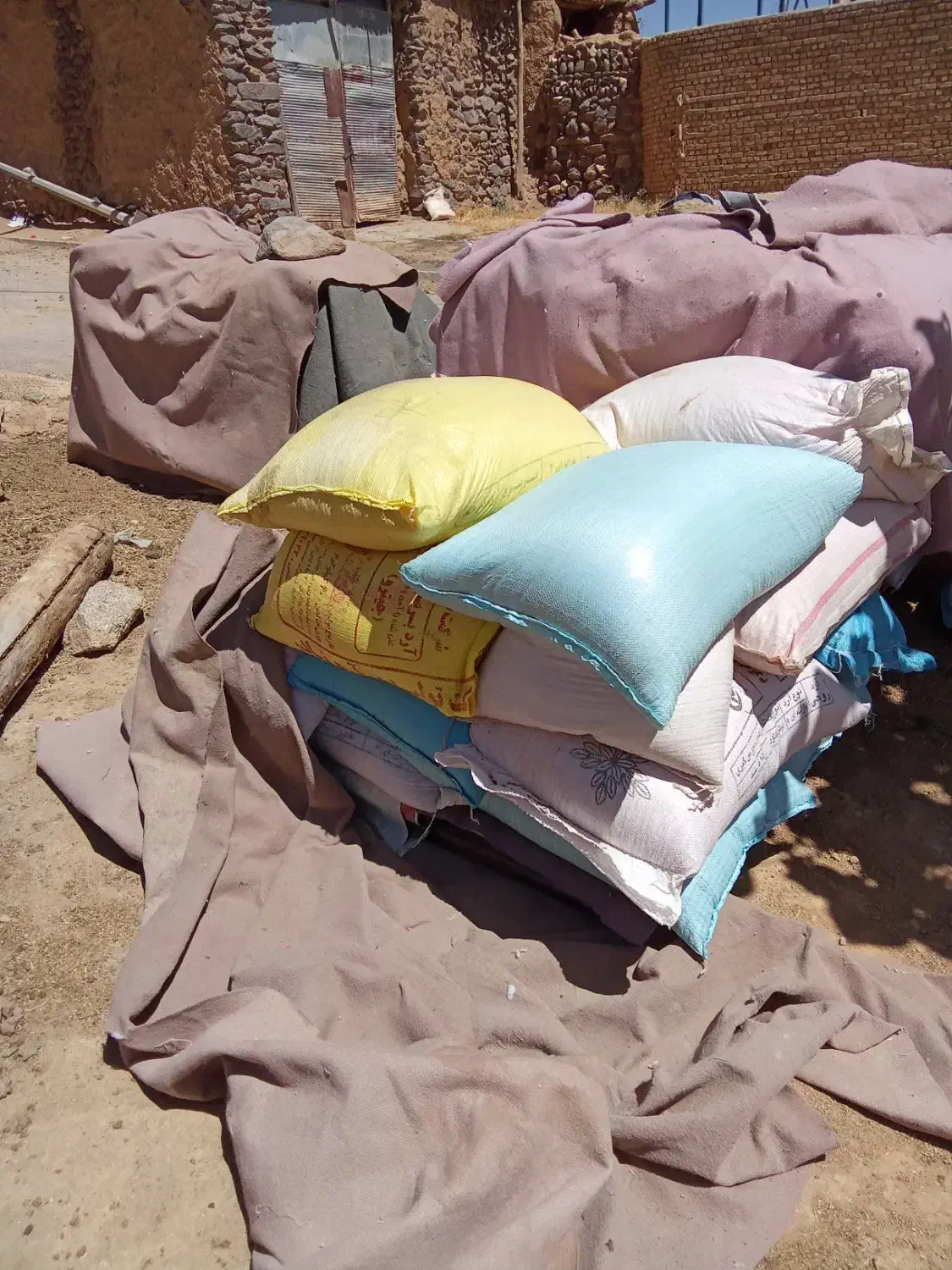 گندم دیم|عمدهفروشی|سربند, |دیوار