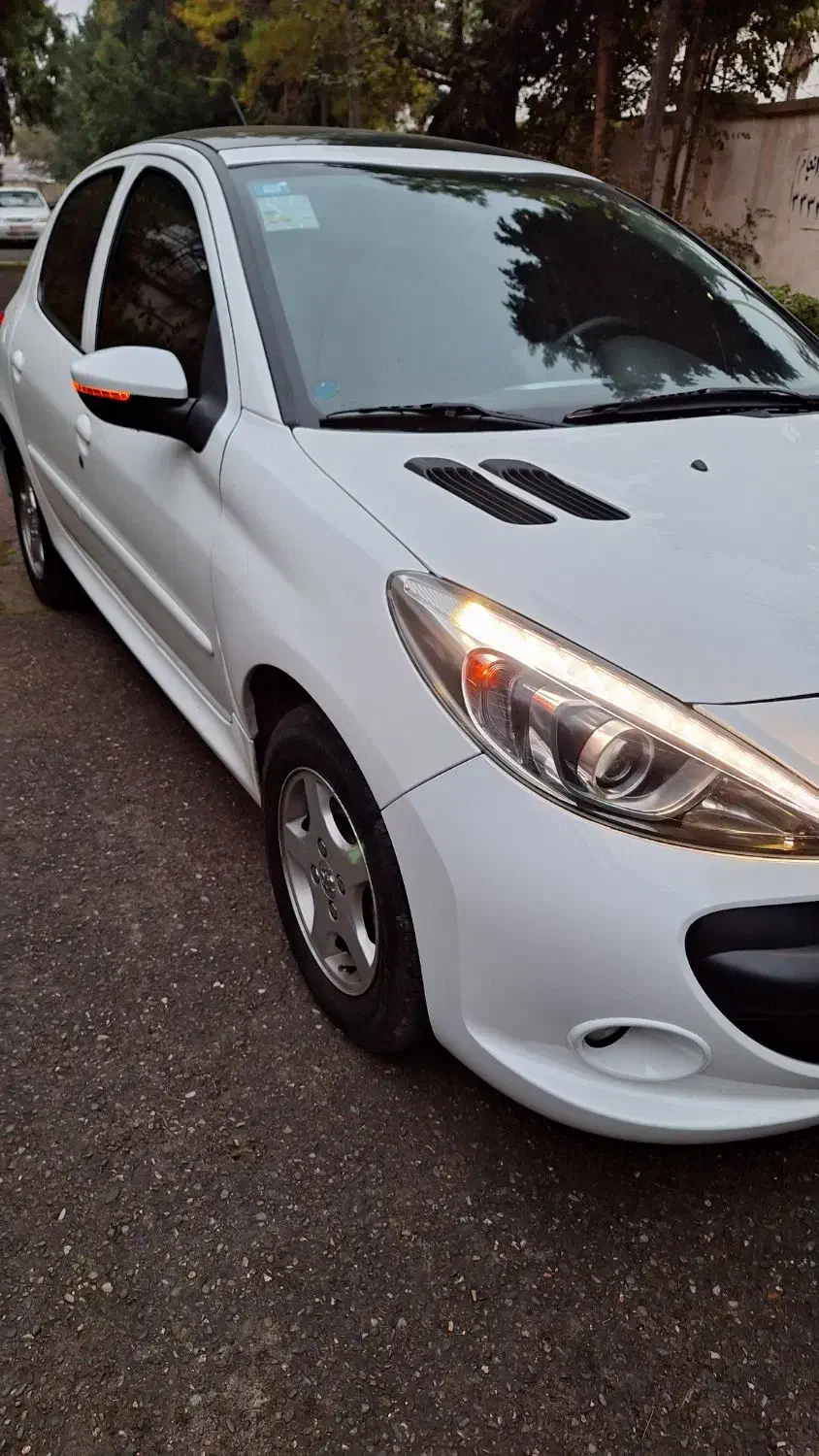 207 سقف پانا دنده|خودرو سواری و وانت|رشت, دباغیان|دیوار