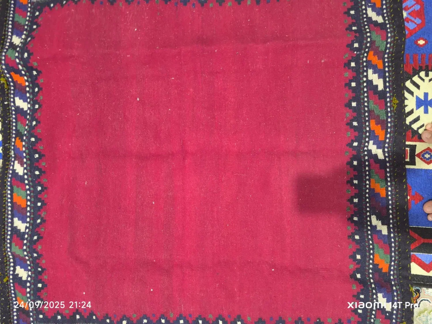 سفره فرش سنتی|گلیم، جاجیم، گبه|داراب, |دیوار