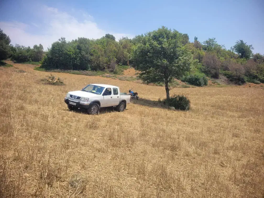 رادیاتور تایگر|قطعات یدکی و لوازم جانبی|گرگان, |دیوار