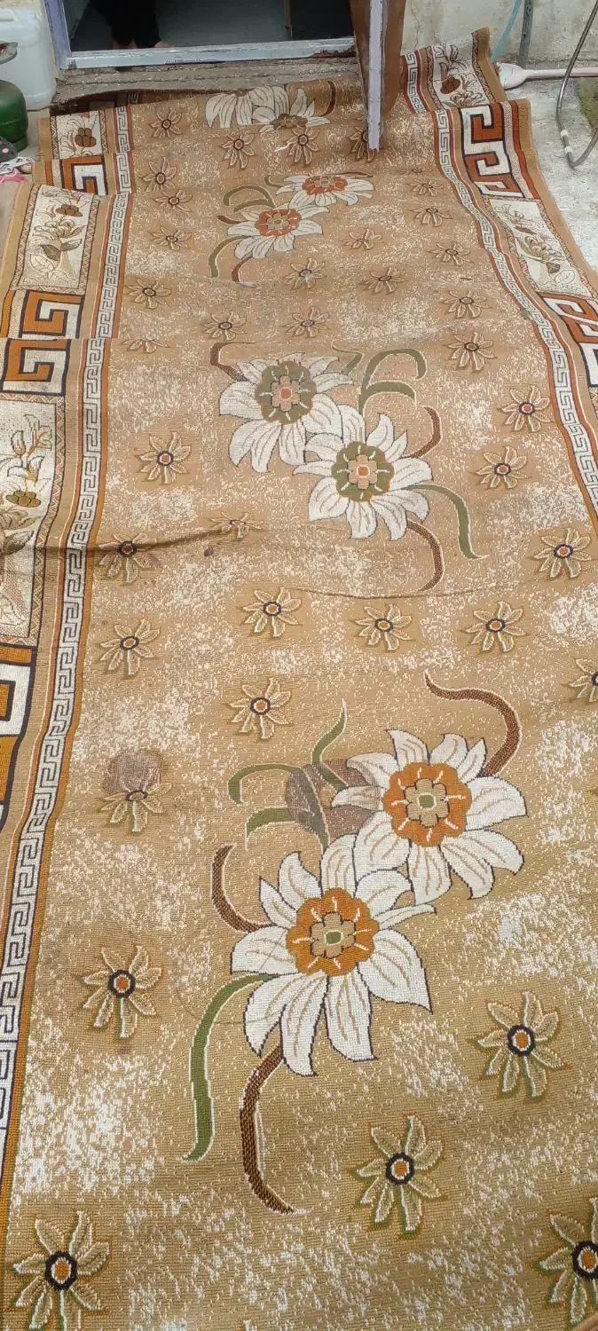 موکت منجیل|موکت|منجیل, |دیوار