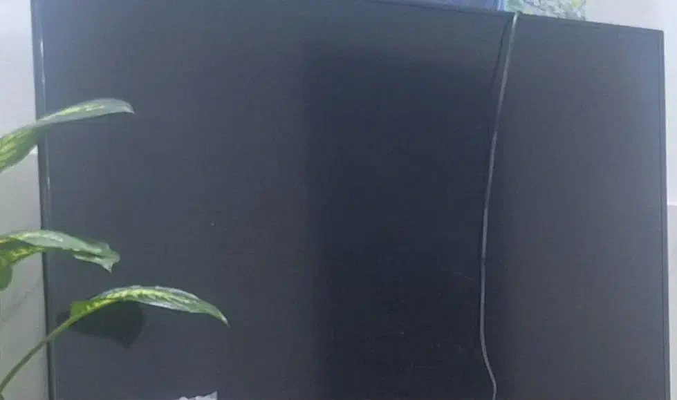 تلوزیون ۵۰اینچ|تلویزیون و پروژکتور|سیراف, |دیوار