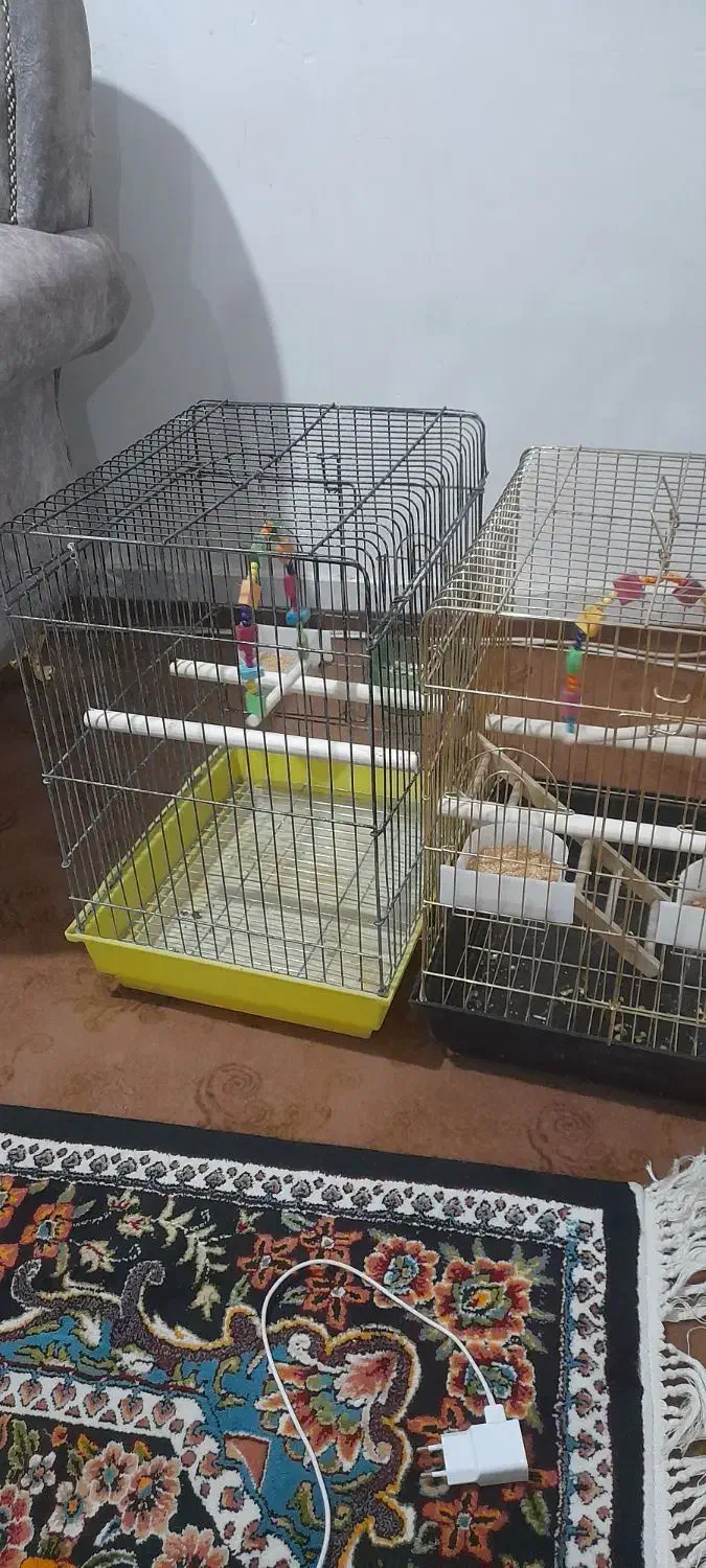 اهن|اسباببازی بچه|فسا, |دیوار