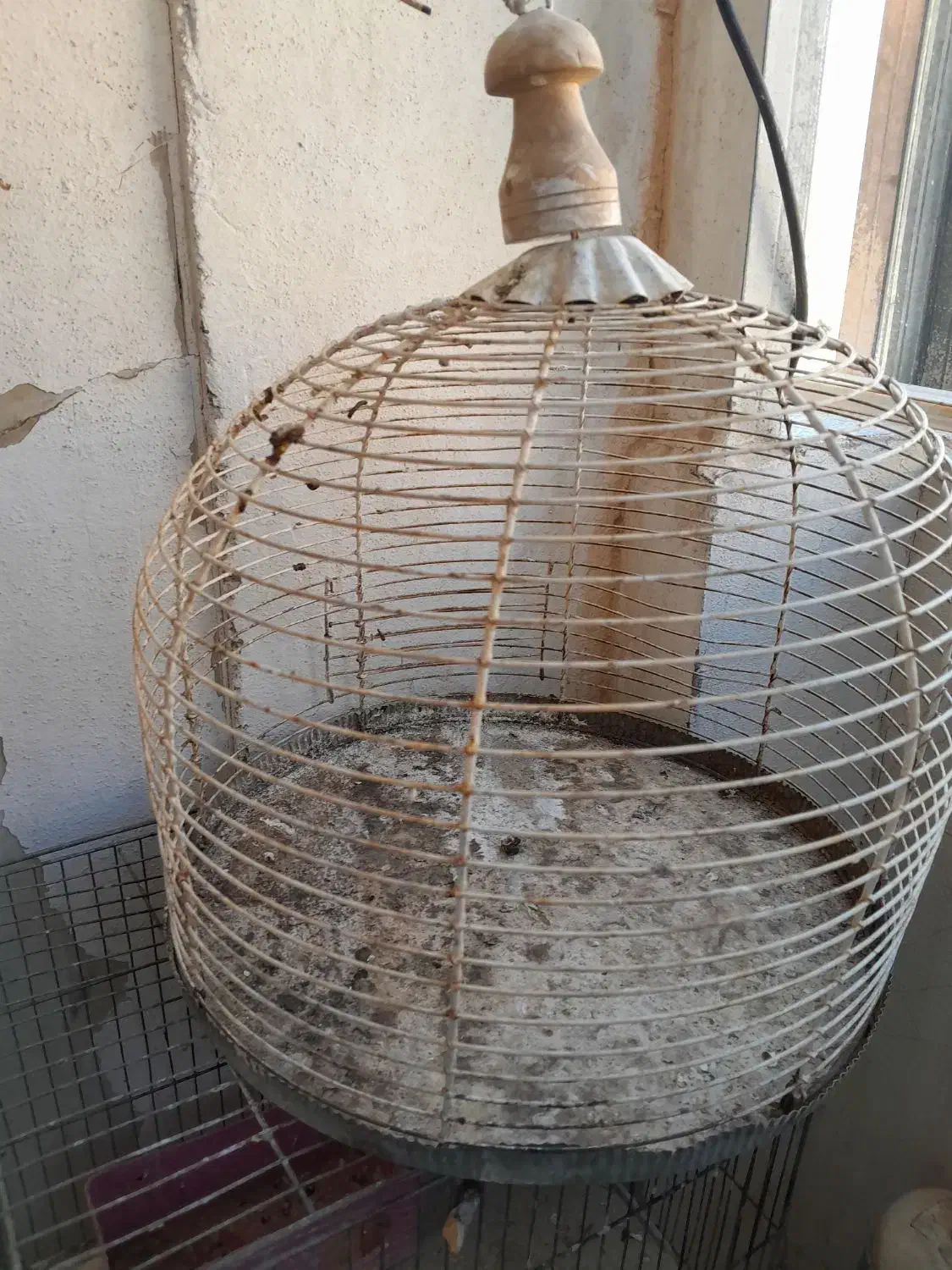 قفس|لوازم جانبی حیوانات|صدرا-فارس, فاز ۲|دیوار