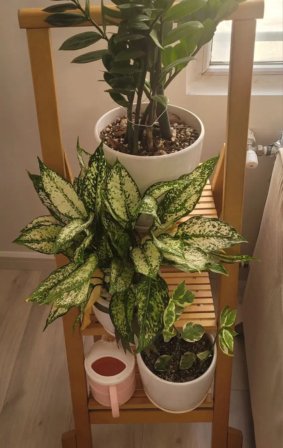 استند چوبی تاشو|کتابخانه، شلف، قفسه‌های دیواری|کرج, شهرک ولیعصر|دیوار