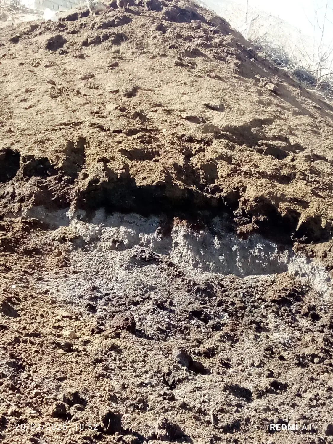 کود|خدمات باغبانی و درختکاری|قصابه, |دیوار