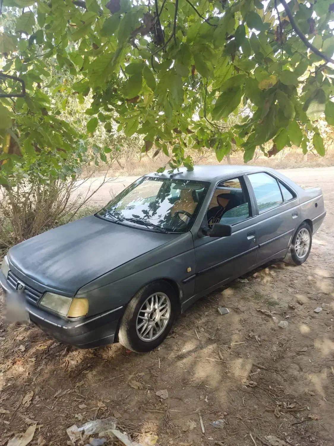 مدل ۸۷دور رنگ شاسی پلمپ|خودرو سواری و وانت|آشخانه, |دیوار